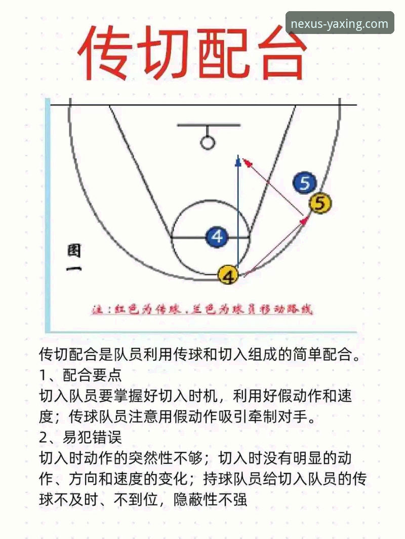 NBA赛事深度解析与实战复盘教程：以骑士VS魔术为例